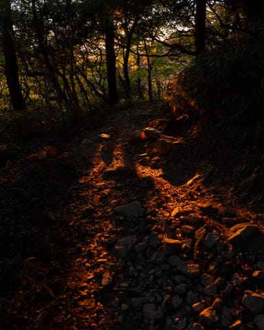 #六甲山 #夕日
#六甲最高峰 #魚屋路
#a7iv #SIGMA2060mmContemporary #fullframe #sigma