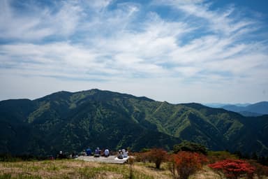 #葛城山
#ヤマツツジ #rhododendron
#a7m4 #sigma35mmart #35mm #fullframe 

写っているのは向かいの金剛山です。
ツツジはまだ満開ではなく、もうすぐです。

Camera: Sony α7IV
Lens: SIGMA ART 35mm F1.4 DG II