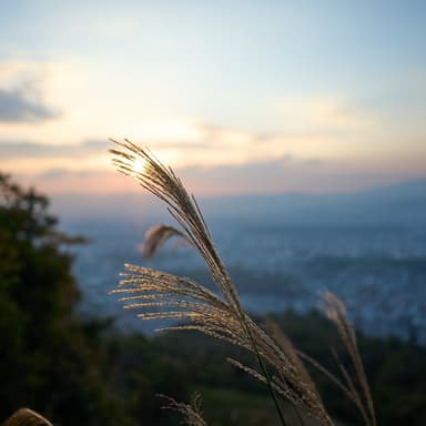 #大文字山 #火床 #夕日
#a7iv #sigma24mmf2dgdn