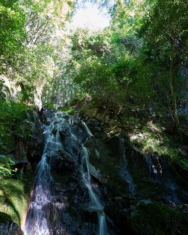 #大文字山 
#楼門の滝 #waterfall 
#a7iv #sigma24mmf2contemporary #24mm #sigma