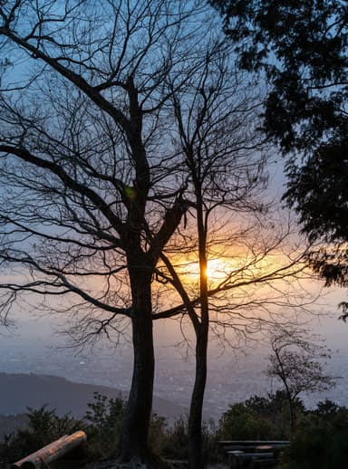 この日は黄砂の影響か、紫がかった雲になっていました。
#大文字山山頂 
#a7iv #sigma50mmf14art #sigma50mmart #50mm #fullframe