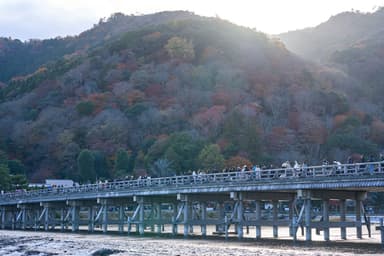 #京都 #嵐山 #渡月橋 #妙見堂 #夕日 #紅葉 #autumnleaves #kyoto
#a7iv #SIGMA65mmF2Contemporary