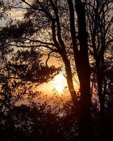 #大文字山 #火床 #夕日 #マジックアワー #サンピラー #sunpillar #紅葉 #autumnleaves
#a7iv #sigma65mmf2dgdn