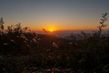 #六甲山
#六甲最高峰 #六甲全山縦走路
#ススキ #夕日
#a7iv #SIGMA1628mmContemporary #28mm #fullframe #sigma