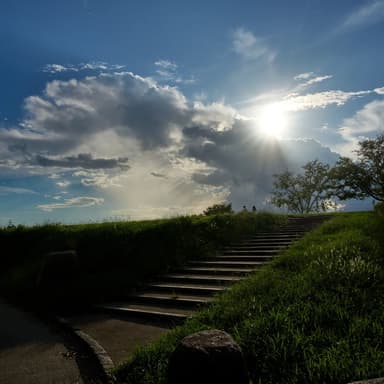#万博記念公園 #expo70 #花の丘 
#a7iv #sigma24mmf2contemporary #24mm #fullframe
