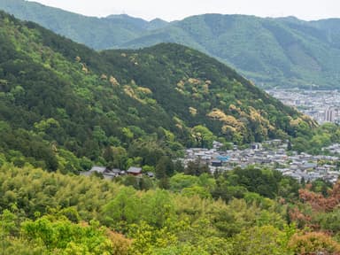 #大文字山 #毘沙門堂門跡 #新緑
経塚山経由の登山道から
#a7iv #sigma50mmf14art #sigma50mmart #50mm #fullframe