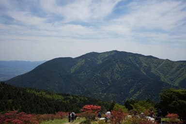 #葛城山
#ヤマツツジ #rhododendron
#a7m4 #sigma35mmart 35mm fullframe 

写っているのは向かいの金剛山です。

Camera: Sony α7IV
Lens: SIGMA ART 35mm F1.4 DG II