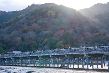 #京都 #嵐山 #渡月橋 #妙見堂 #夕日 #紅葉 #autumnleaves #kyoto
#a7iv #SIGMA65mmF2Contemporary